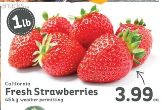 IGA Fresh Strawberries 454 g weather permitting offer