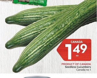 IGA Seedless Cucumbers offer
