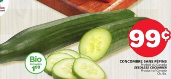 IGA SEEDLESS CUCUMBER offer