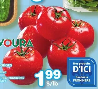 IGA GREENHOUSE RED TOMATOES lb offer