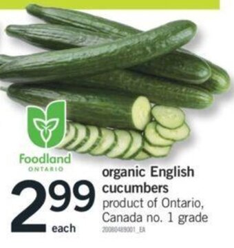 Fortinos organic English cucumbers offer