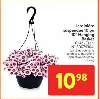 Walmart 10" Hanging Basket offer