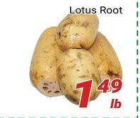 Nations Fresh Foods Lotus Root offer