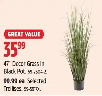 Canadian Tire 47" Decor Grass in Black Pot. 59-2504-2. 99.99 ea Selected Trellises. 59-5917X. offer