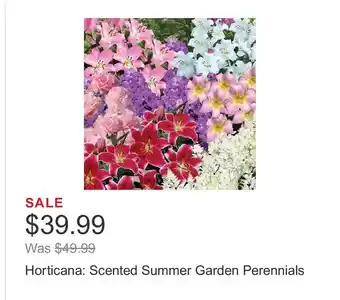 Costco Horticana: Scented Summer Garden Perennials offer