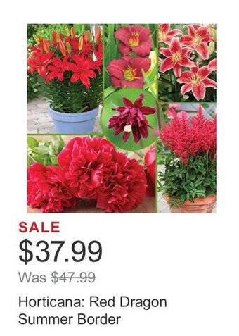 Costco Horticana: Red Dragon Summer Border offer