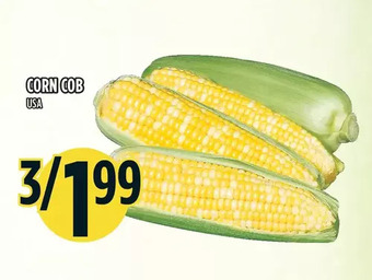 Marché Adonis Corn cob offer