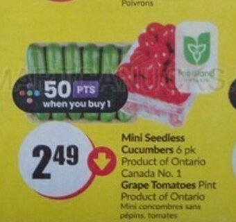 FreshCo Grape Tomatoes offer