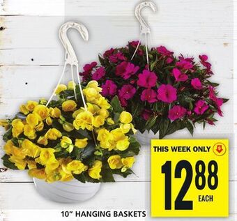 Food Basics 10 hanging baskets offer