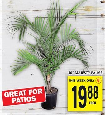 Food Basics 10 majesty palms offer