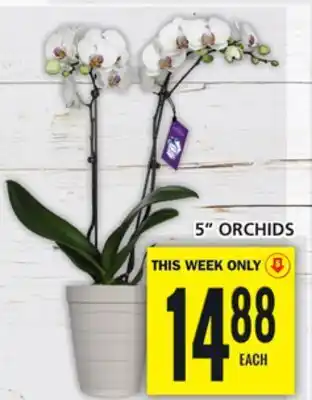 Food Basics 5 orchids offer