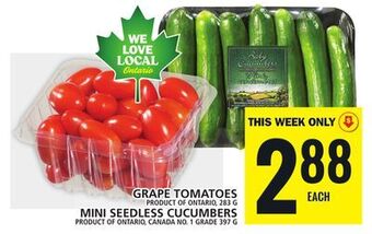 Food Basics Grape tomatoes or mini seedless cucumbers offer