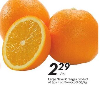 Sobeys Large navel oranges offer