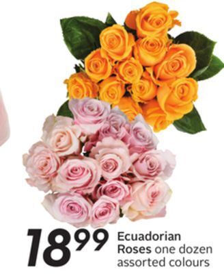 Sobeys Ecuadorian roses offer