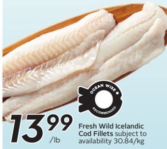 Sobeys Fresh wild icelandic cod fillets offer