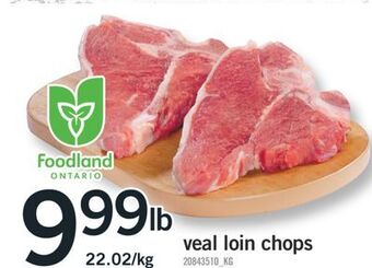Fortinos Veal loin chops offer