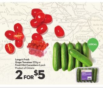 Longo's Longo's fresh grape tomatoes 255g or fresh mini cucumbers 6 pack offer
