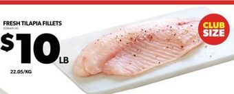 Real Canadian Superstore Fresh tilapia fillets offer