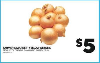 Real Canadian Superstore Farmer's market™ yellow onions, 10 lb offer