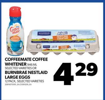 Real Canadian Superstore Coffeemate coffee whitener, 946 ml or burnbrae nestlaid large eggs, 12 pack offer