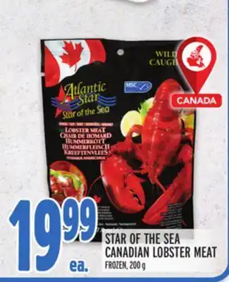 Metro Star of the sea canadian lobster meat offer