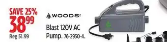Canadian Tire Woods blast 120v ac pump offer