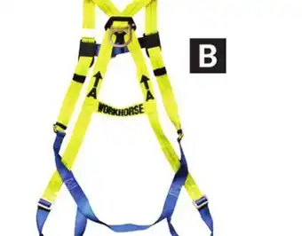Princess Auto Full-body safety harnesses with 6 ft lanyard offer