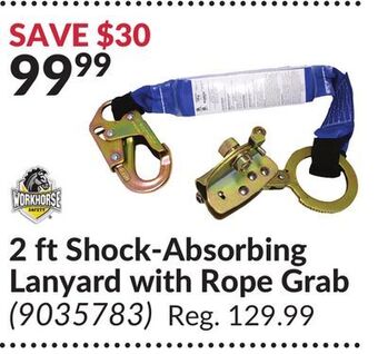 Princess Auto 2 ft shock-absorbing lanyard with rope grab offer