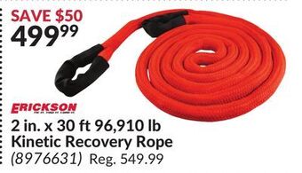 Princess Auto 2 in. x 30 ft 96, 910 lb kinetic recovery rope offer