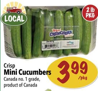Farm Boy Crisp mini cucumbers offer