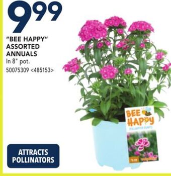RONA Bee happy assorted annuals offer