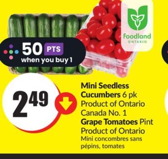 Chalo FreshCo Mini seedless cucumbers 6 pk product of ontario canada no. 1 grape tomatoes pint product of ontario offer