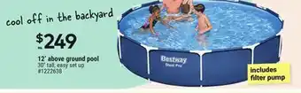 Giant Tiger 12' above ground pool offer