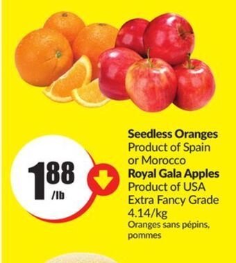 FreshCo Seedless oranges product of spain or morocco extra fancy grade 4.14/kg offer