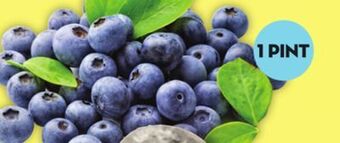 Giant Tiger 1 pint blueberries offer