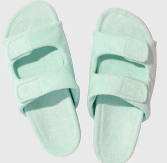 Giant Tiger Sandals offer