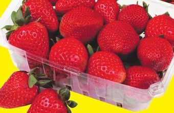 FreshCo Strawberries 454 g product of usa no. 1 grade offer
