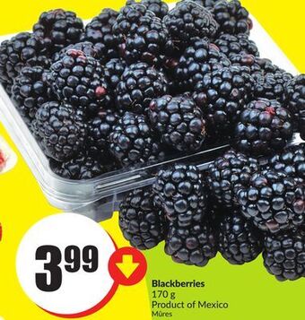 FreshCo Blackberries 170 g product of mexico offer