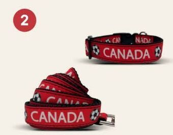Petvalu All star dogs canada collars & leashes offer