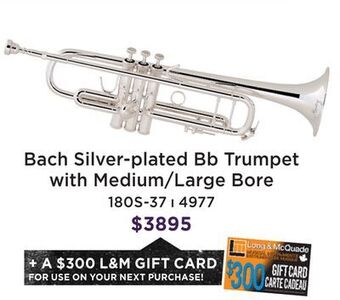Long & McQuade Bach 180s37 series - silver plated bb trumpet offer