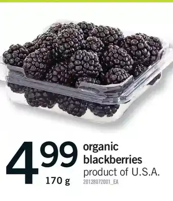 Fortinos Organic blackberries offer