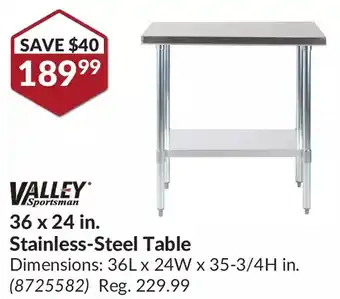 Princess Auto Valley 36 x 24 in stainless-steel table offer