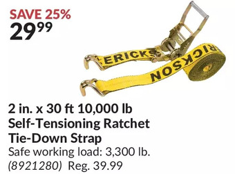 Princess Auto 2 in. x 30 ft 10,000 lb self-tensioning ratchet tie-down strap offer