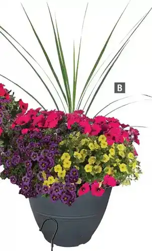 Home Depot Vigoro - time for summer planter offer