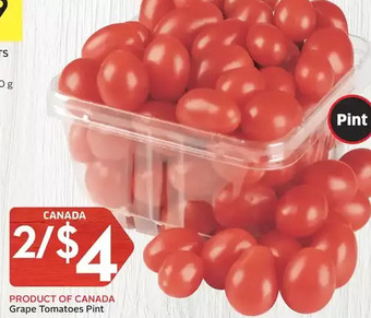 Foodland Grape tomatoes pint offer