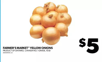 Real Canadian Superstore Farmer's market yellow onions offer