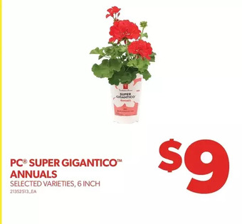 Real Canadian Superstore Pc super gigantico annuals offer