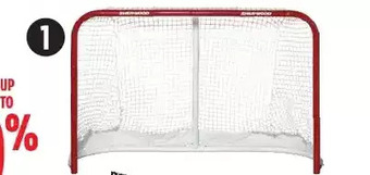 Canadian Tire Street hockey protective and goals and replacement nets offer