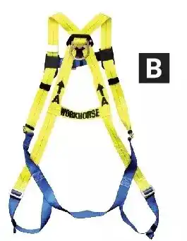 Princess Auto Workhorse full-body safety harnesses. with 6 ft lanyard offer