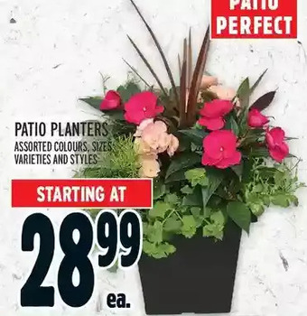 Metro Patio planters offer